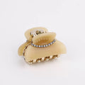Mini Rhinestone-Trimmed Acrylic Claw Clips – Wholesale Collection